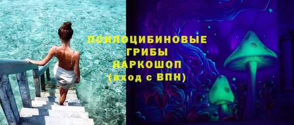 крисы Белоозёрский