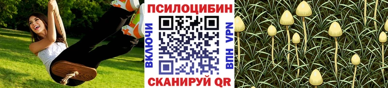 Галлюциногенные грибы GOLDEN TEACHER Выкса